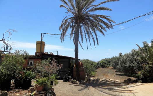 Fuerteventura – Tuineje – Goldprämierte Olivenfarm mit 3 Wohneinheiten