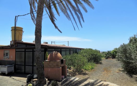 Fuerteventura – Tuineje – Goldprämierte Olivenfarm mit 3 Wohneinheiten