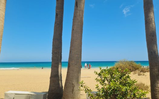 Ferienwohnung: Beachhouse La Palma – Costa Calma – Studio-Apartment – erste Strandlage – Terrasse – WLAN – max. 2 Personen